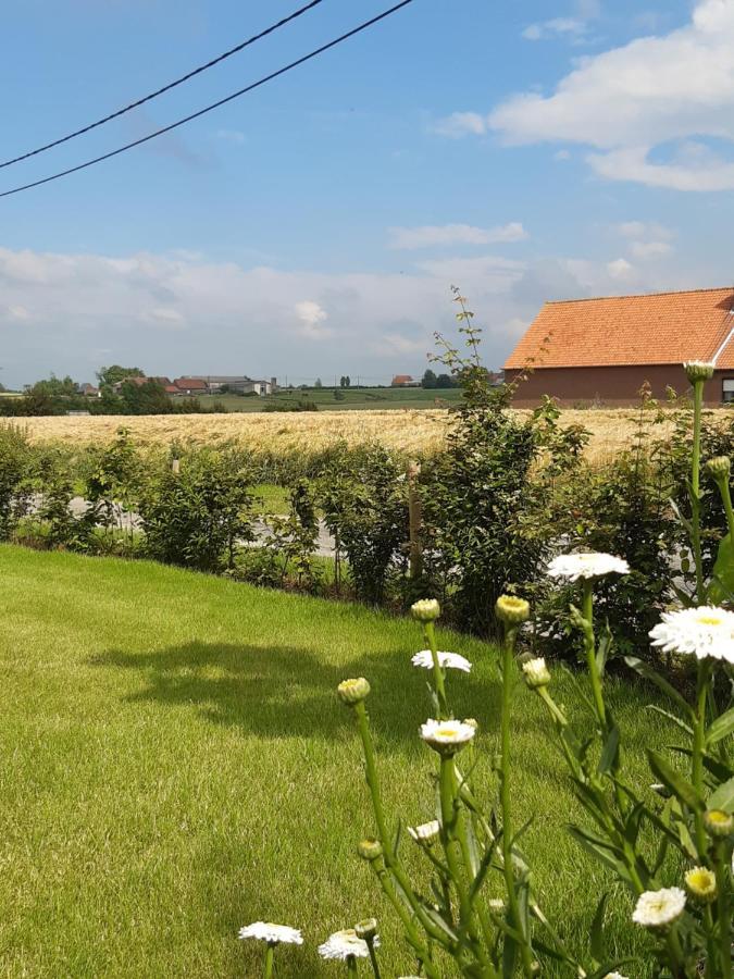 Vakantiehuis Zoetendaal Reningelst Zewnętrze zdjęcie