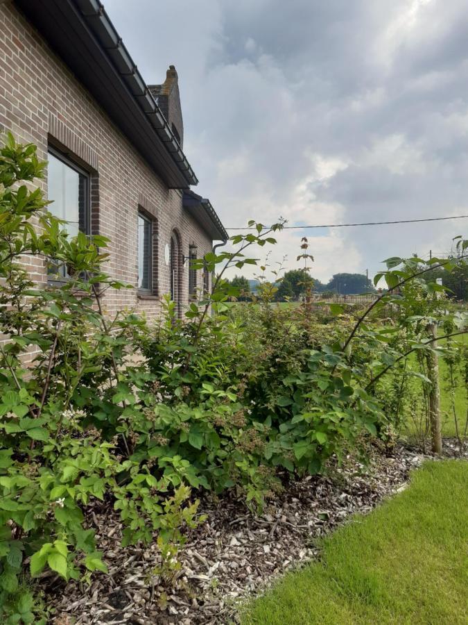 Vakantiehuis Zoetendaal Reningelst Zewnętrze zdjęcie